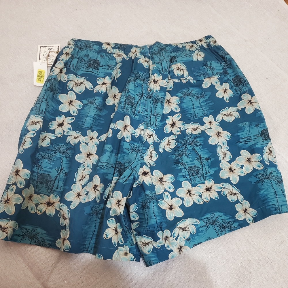 Roundtree & Yorke Swim Trunks - Picture 4 of 8